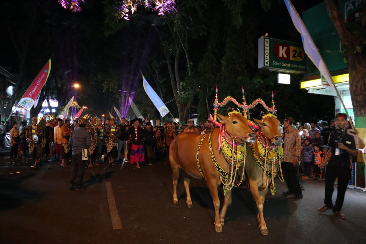 Ini dia sapi sono' Madura. foto:kemenpar