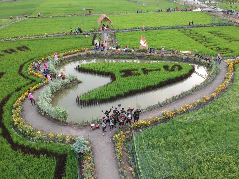 Lahan pertanian di Desa Besur, Kecamatan Sekaran, Lamongan disulap jadi tempat wisata yang eksotik. (Foto: Totok/ngopibareng.id)