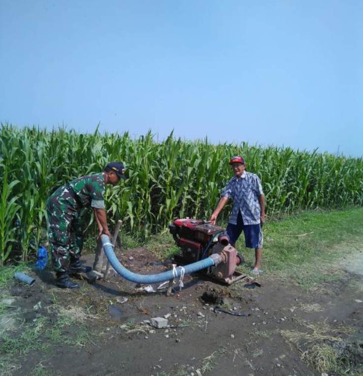 Babinsa Koramil 0815/03 Sooko Peltu Jainul Arifin saat mendampingi petani pengairan lahan yang ditanami Jagung