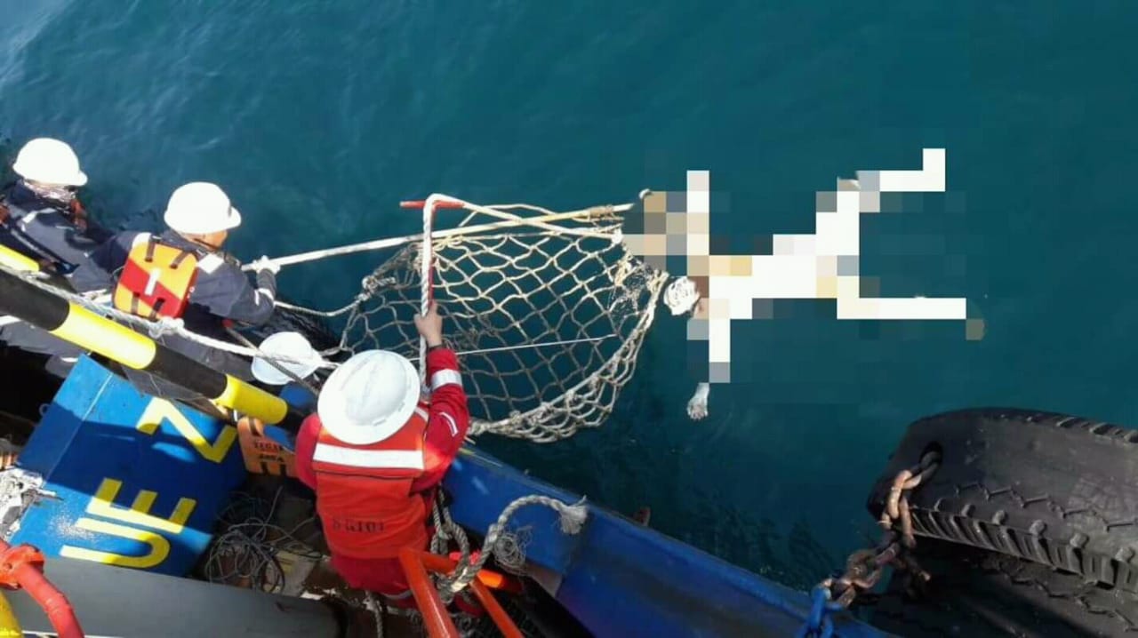 Mayat yang ditemukan di Perairan Pelabuhan Branta Pesisir Pamekasan. Diduga tiga mayat ini adalah nelayan Probolinggo yang hilang. (Foto: Polair)