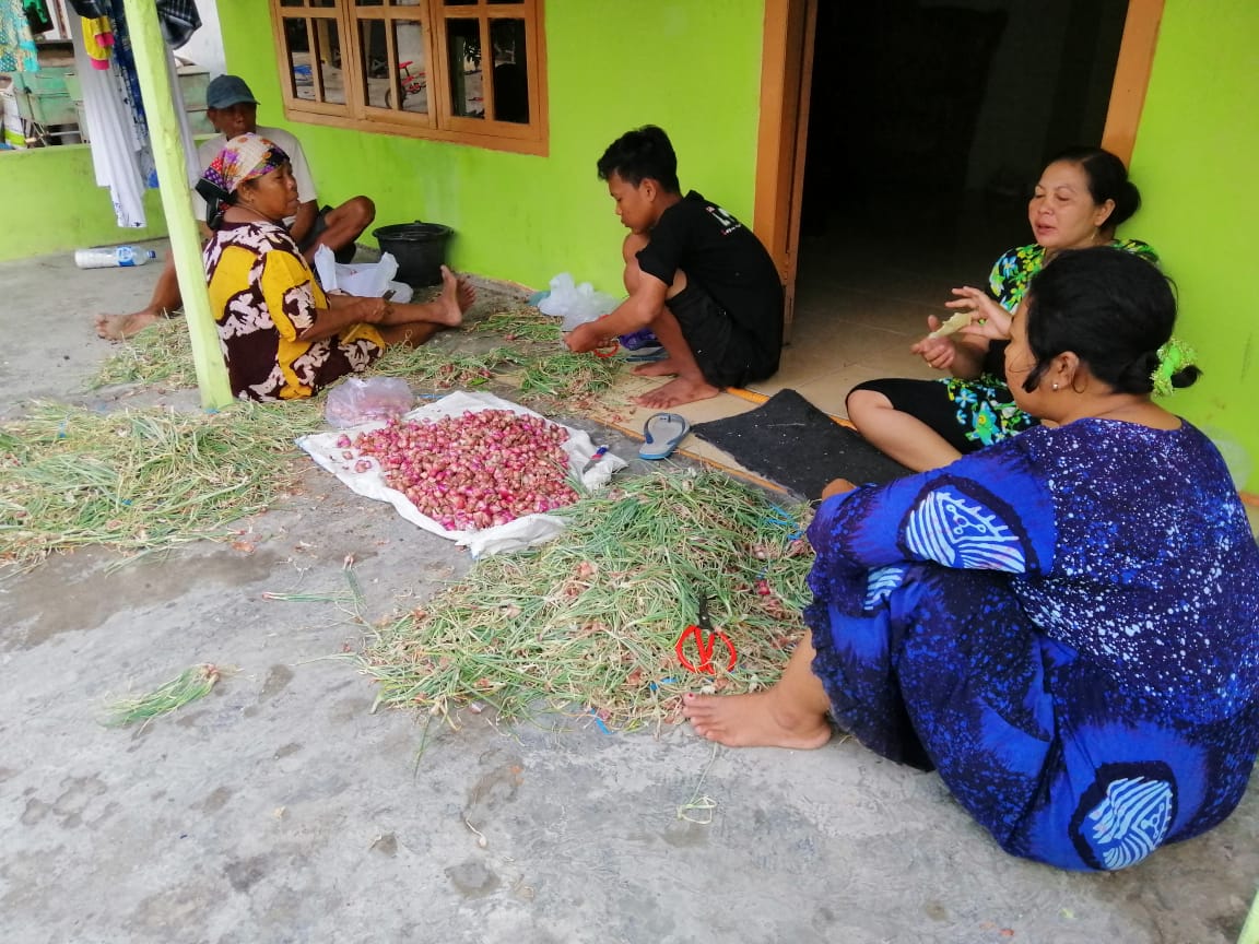 Warga Lamongan sedang membersihkan hasil panen Bawang Merah untuk dijual ke pasar. (Foto: Totok/ngopibareng.id)