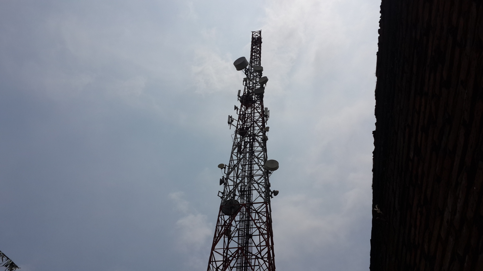 Seorang pria memanjat tower listrik. (Foto: Umar/ngopibareng.id)