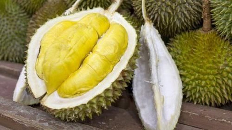 Ilustrasi. Penumpang pesawat diperbolehkan bawa durian.