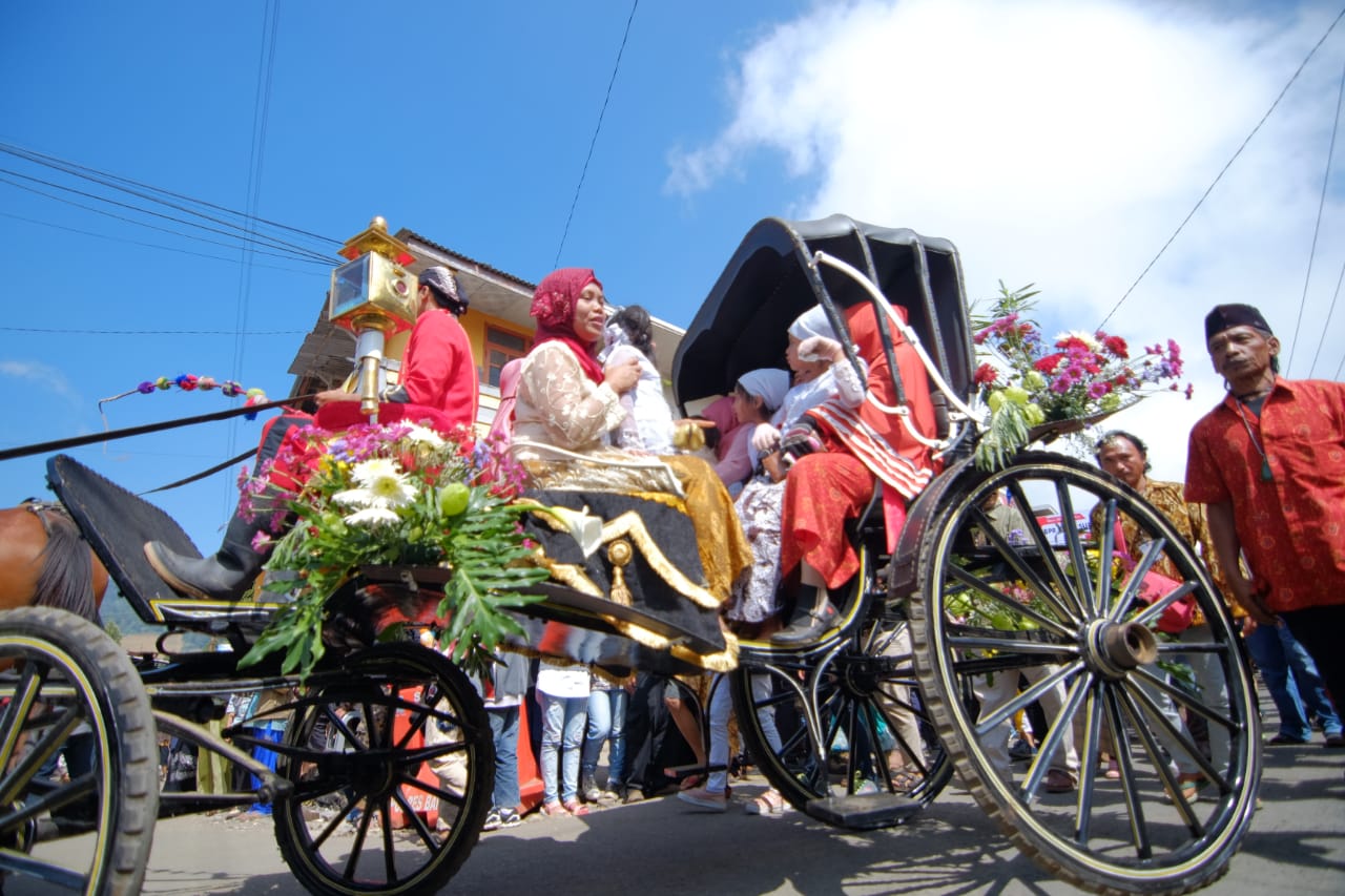 Ilustrasi karnaval... foto:dok