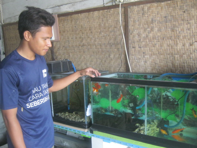 Santripreneurshi, Wisnu (Gus Nawawi) sambil berjualan ikan ikan hias sebagai seorang ustadz di Pondok Langitan, Tuban. (Foto:Totok/ngopi bareng.id)