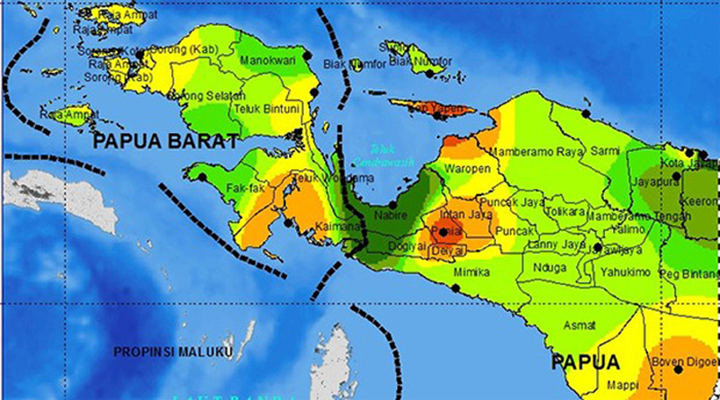 Pepa pulau Papua. Foto: istimewa