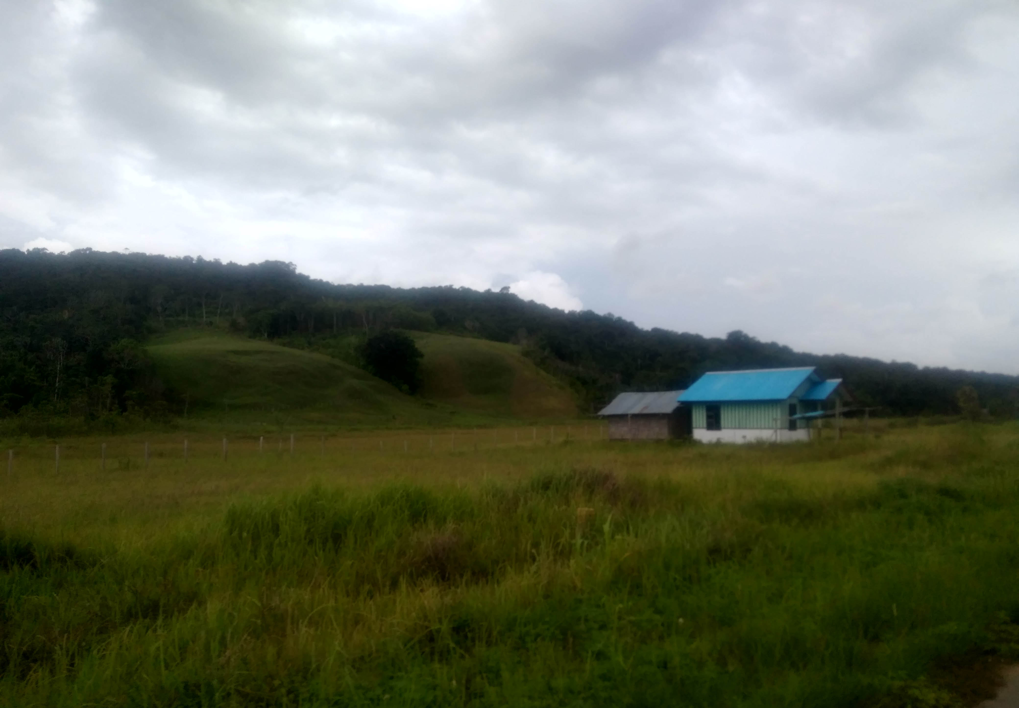 Padang rumput luas dan udara sejuk langsung terpapar begitu perjalanan menyusuri Trans Papua Segmen I memasuki Distrik Kebar. Kendati aliran listri belum masuk, namun suasana alam dataran subur ini berpotensi besar menjadi surga wisatawan di masa mendatang dengan fungsionalnya Trans Papua. (Foto: Endra/ngopibareng.id)