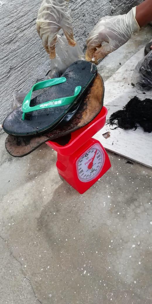 Sandal plastik yang ditemukan dalam perut bangkai paus sperma. (Foto: Istimewa) Sandal plastik yang ditemukan dalam perut bangkai paus sperma. (Foto: Istimewa)