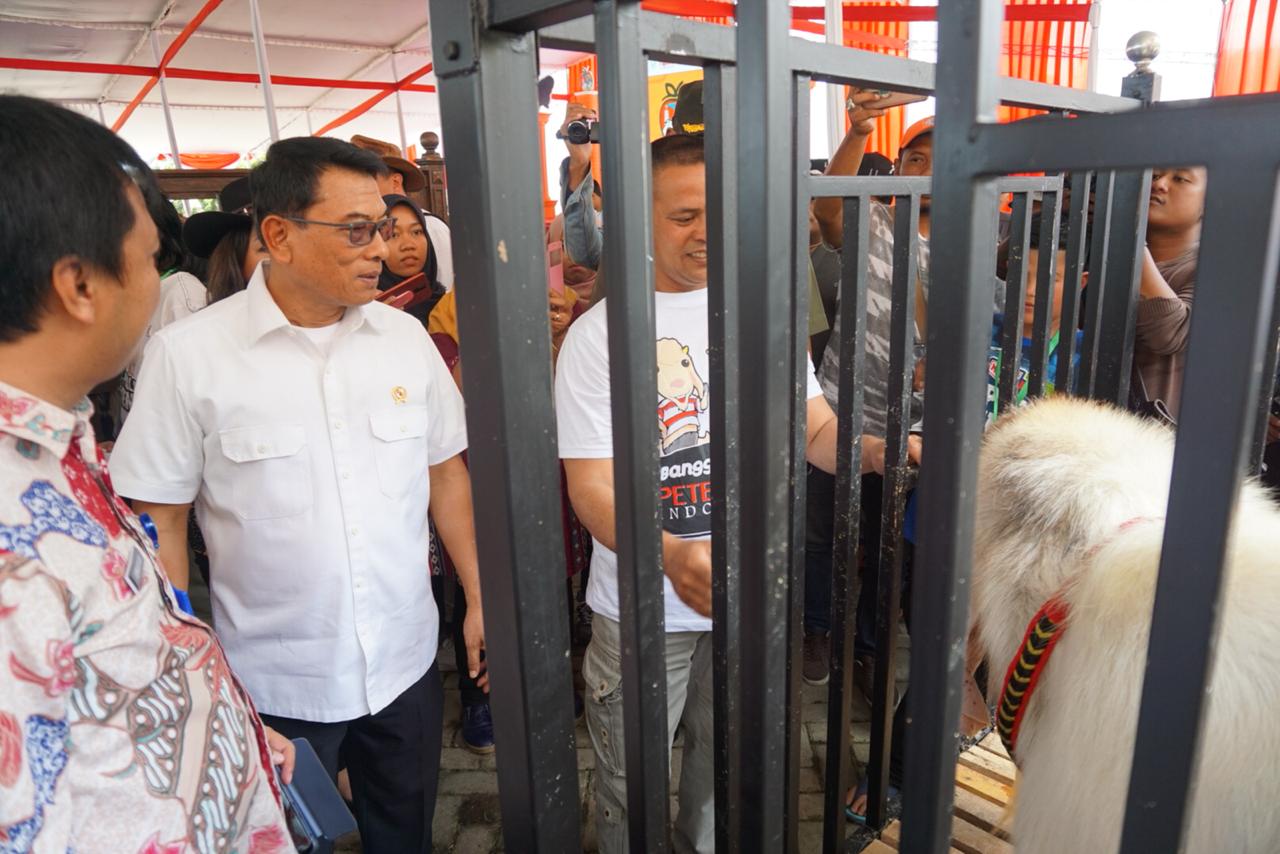 MENINJAU: Kepala Staf Kepresidenan Moeldoko saat menghadiri Silaturahmi Nasional ke-6 Himpunan Peternak Domba dan Kambing Indonesia di Jatim Park 2, Batu, Jawa Timur. (Foto: Dok KSP) 