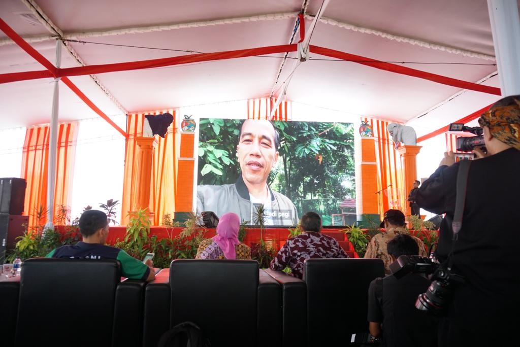 Ribuan peternak meramaikan acara Silaturahmi Nasional (Silatnas) ke-6 Himpunan Peternak Domba dan Kambing Indonesia di Jatim Park 2, Batu, Jawa Timur. (Foto: Dok KSP)