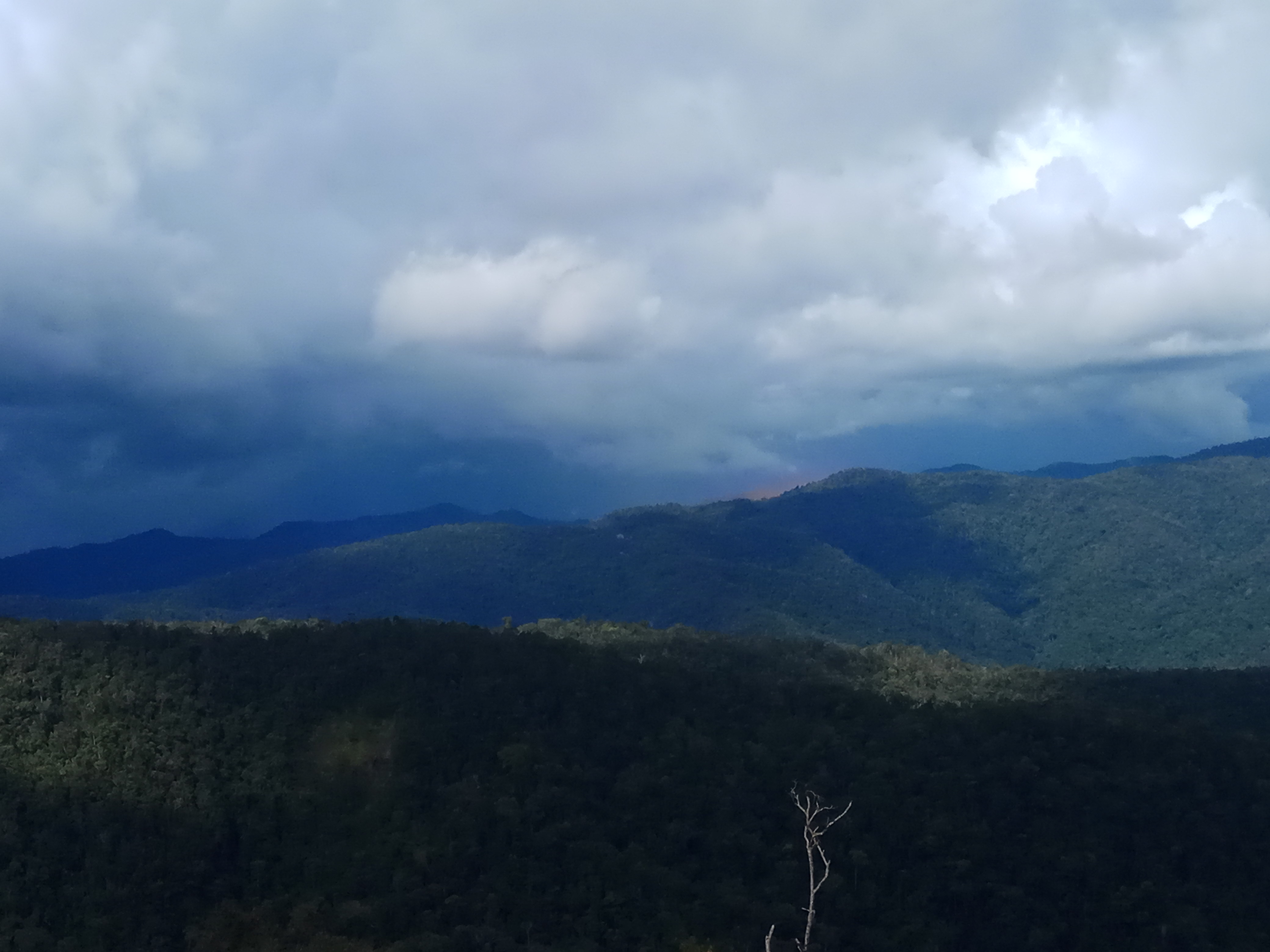 Pemandangan alam di Petik Bintang. (Foto: Amir/ngopibareng.id)