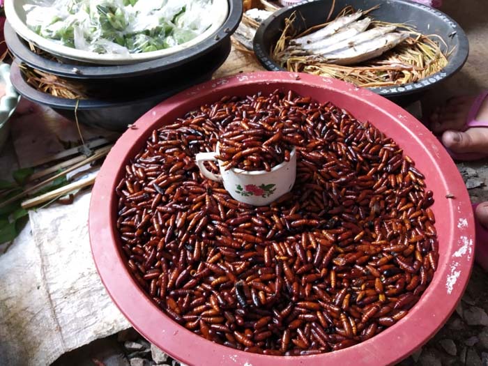 Entung mentah yang dijual pedagang di Pasar Kota, Bojonegoro, dengan harga Rp5.000/cangkir. (Foto:Slamet Agus Sudarmojo/Antara)