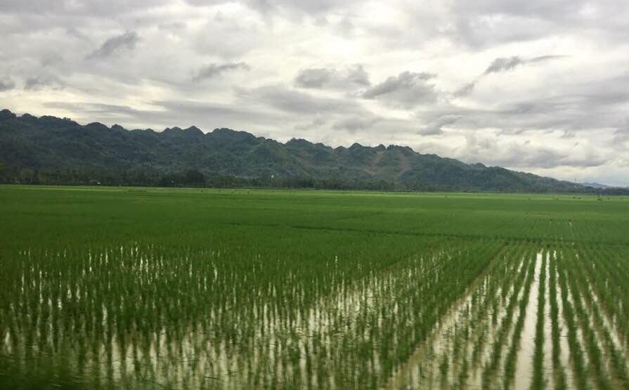 Indahnya pemandangan jalan pantai selatan di daerah Purwokerto. (Foto: Nabielkhan FA/ngopibareng.id)