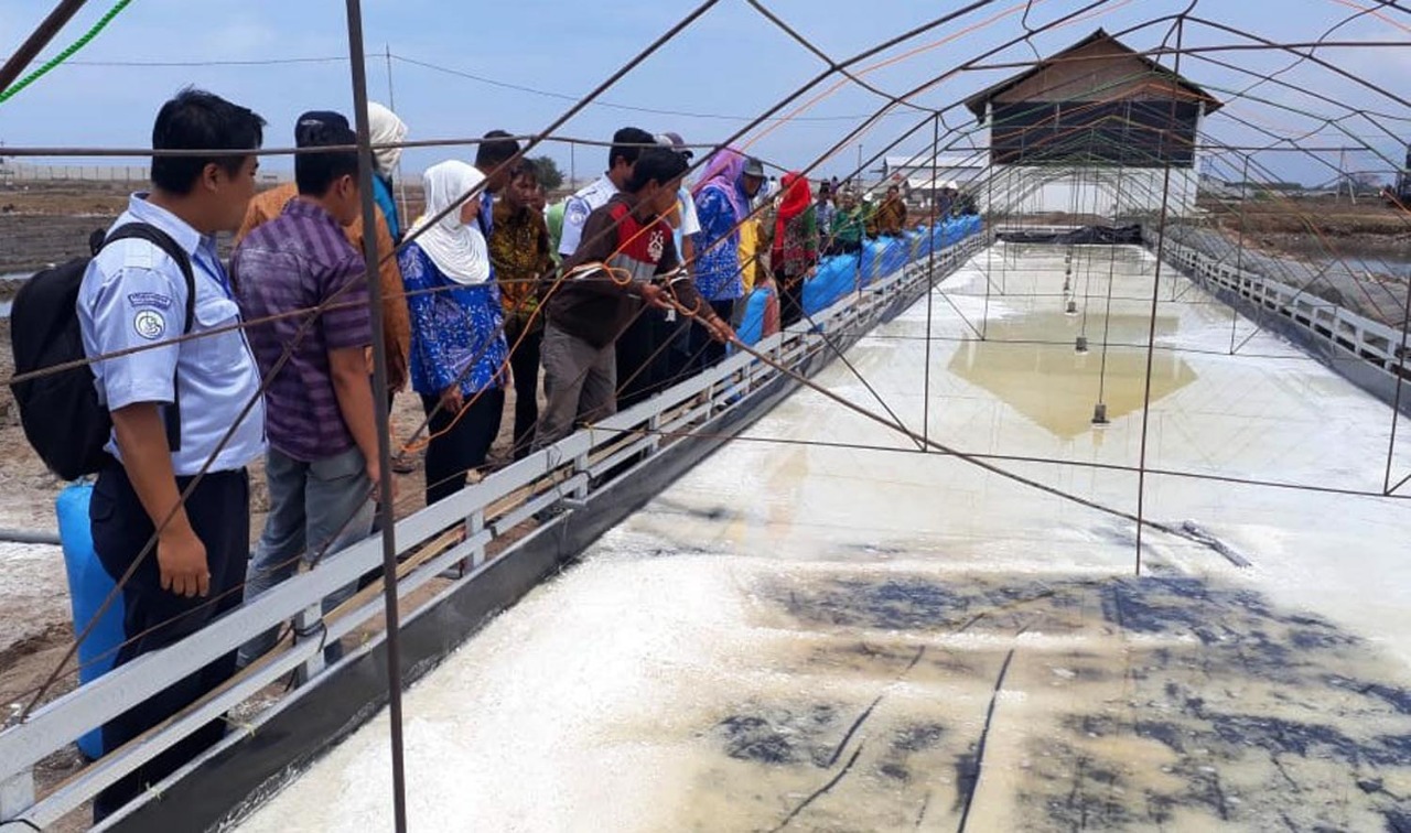 Rumah garam dengan sistem Katup Gadis di Desa Kalibuntu, Kabupaten Probolinggo. (Foto: Ikhsan/ngopibareng.id)