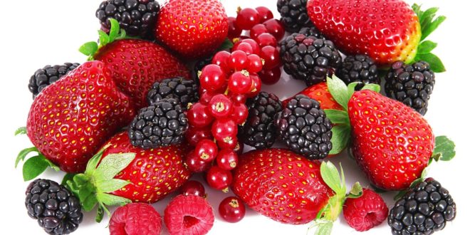 Ilustrasi buah berry.