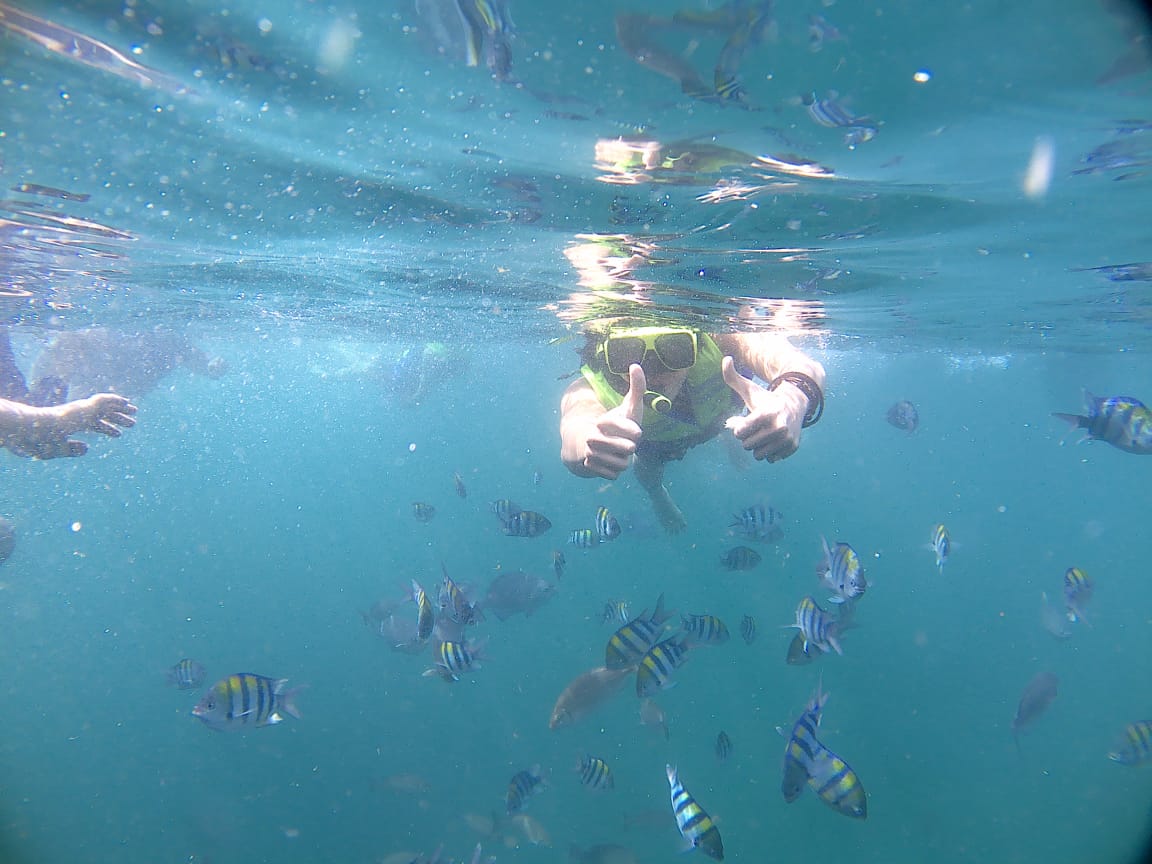 Asikkk, menyelam ditani ikan lorek-lorek yang cantiknya bukan main. (Foto:Famtrip/Istimewa)