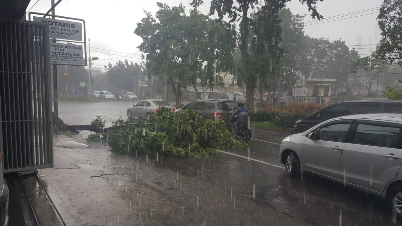 Sebuah pohon tumbang diterjang angin kencang yang melanda Surabaya, Rabu, 23 Januari 2019. (Foto: Netizen)