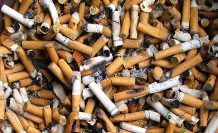 Sampah rokok, tidak ada kontribusi CSR industri rokok untuk masyarakat. (Foto:Ngobar)