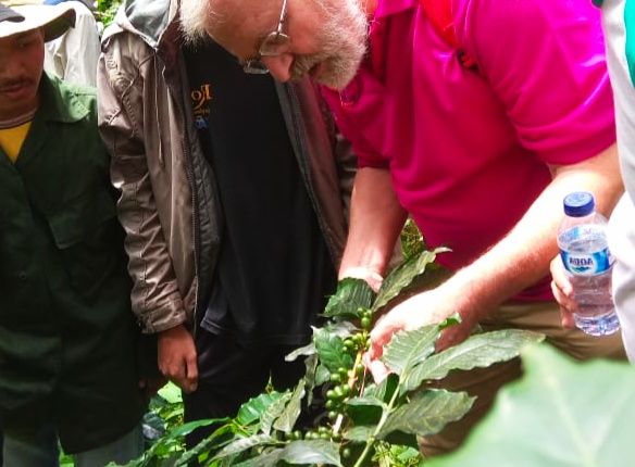 Perlunya antisipasi perubuhan iklim agar kopi tak alami kepunahan. (Foto:Istimewa/dok pegiat kopi)