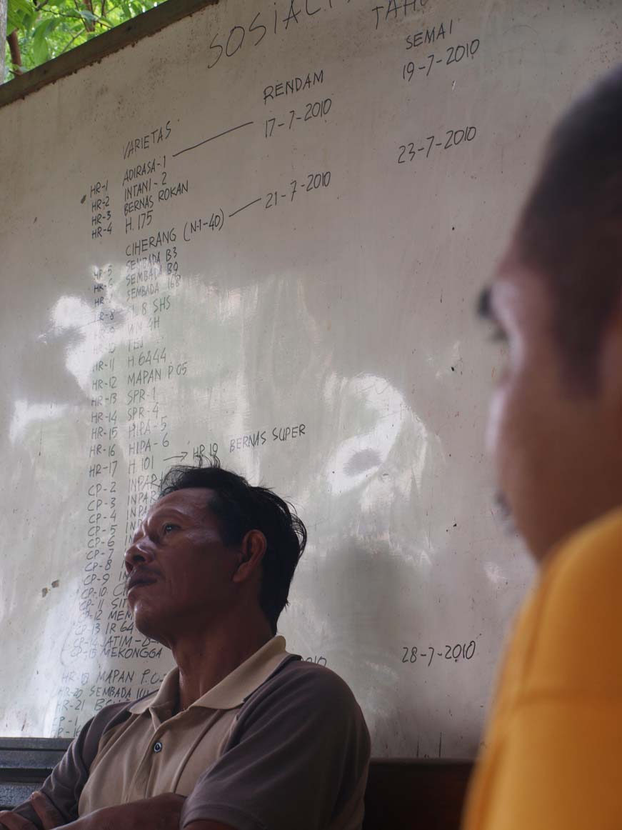 Ngaji padi di Kasreman. (Foto:WidiKamidi/ngopibareng.id)