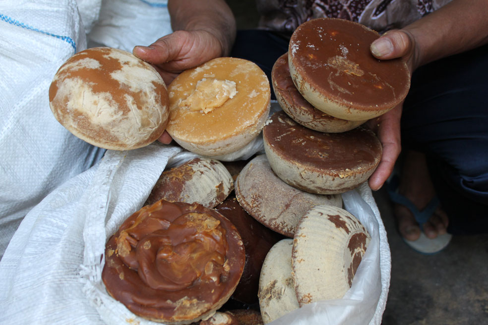 Gula kelapa yang dibentuk sederhana dari mengolah nira kelapa. (Foto:WidiKamidi/ngopibareng.id)