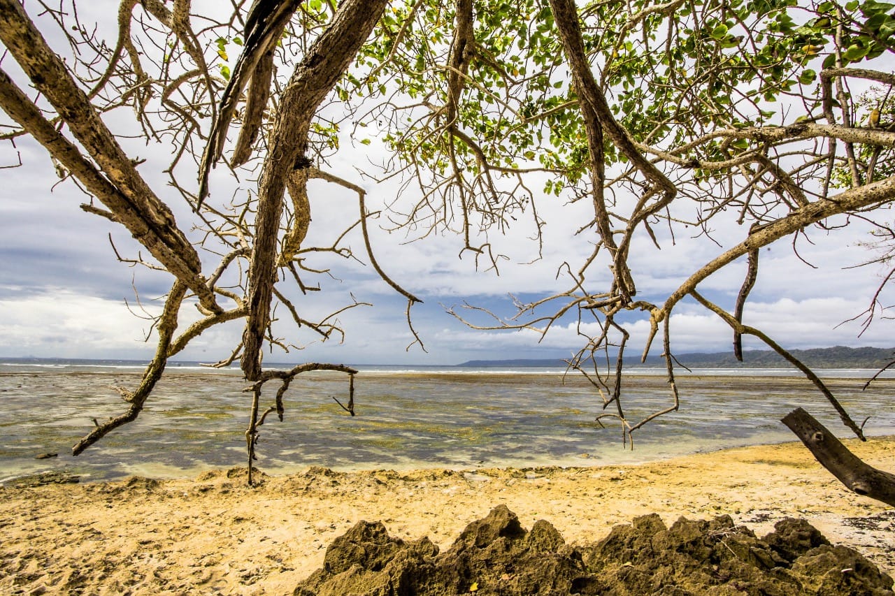 Pantai berhadapan langsung dengan Samudra Indonesia, yang juga sangat perawan. (Foto:Istimewa)