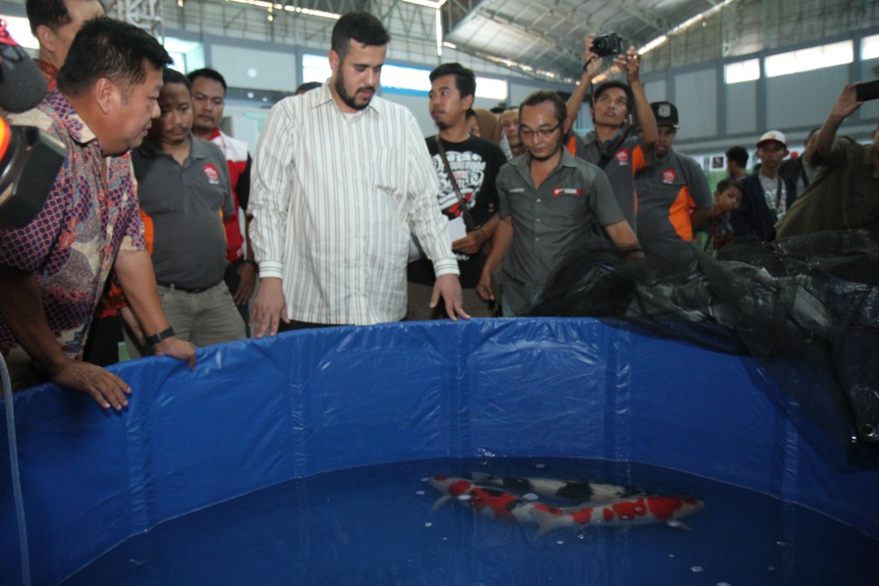 Wali Kota Habib Hadi saat menyaksikan ikan-ikan koi dalam “1st Young Koi Show” di Kota Probolinggo. (Foto: Humas Pemkot/ngopibareng.id).