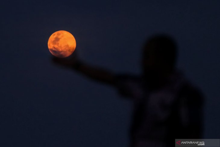 Seorang warga berpose bersama Supermoon di ananda Aceh, Selasa 19 Februari 2019 malam. (Foto: dok/antara)