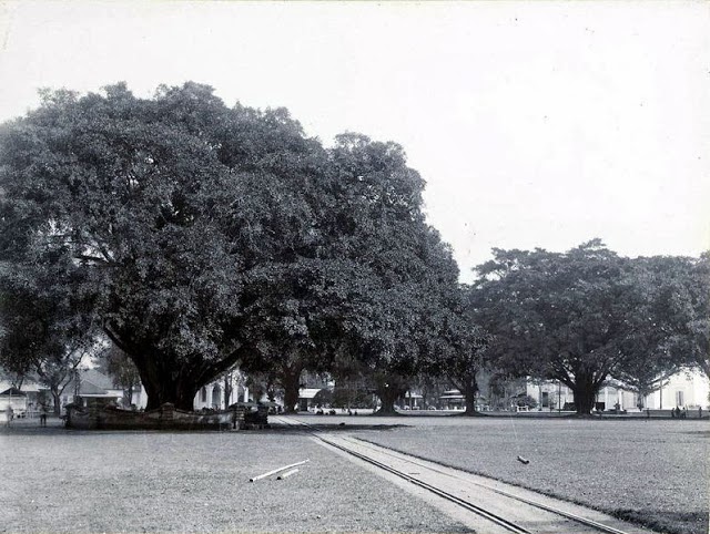 Jalur trem di tengah Alun-alun Kota Malang (Foto: Istimewa)