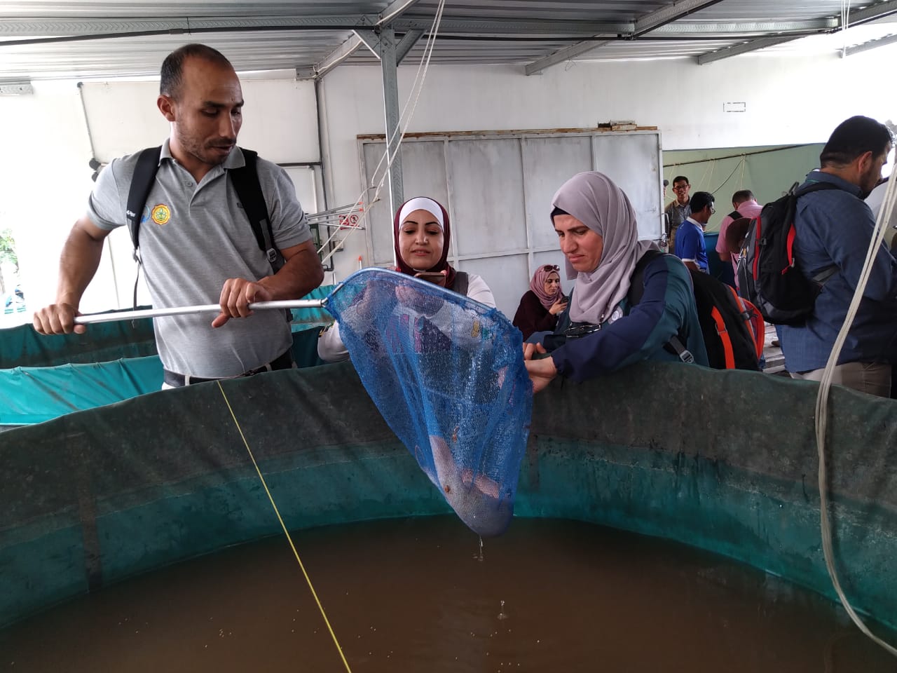 Riza, salah satu dosen UMM menunjukkan hasil budidaya ikan lele secara aquaponik kepada mahasiswa asal Palestina.