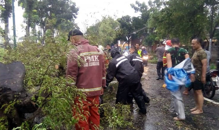 Sejumlah petugas gabung BPBD Tulungagung dan TNI sedang membersihkan pohon-pohon yang roboh akibat diterjang puting beliung. (Foto: Istimewa)