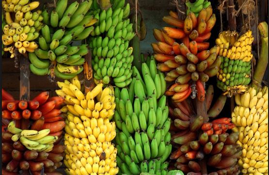 Buah pisang memiliki manfaat sesuai kulitnya.