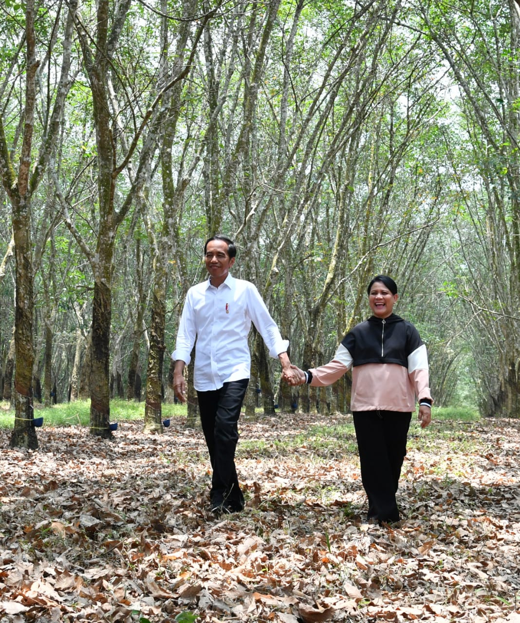 Presiden Joko Widodo bersama Ny Iriana Jokowi di perkebunan karet di di Balai Pusat Penelitian Karet Sembawa, Kecamatan Sembawa, Kabupaten Banyuasin, Sumsel. (Foto: setneg for ngopibareng.id)