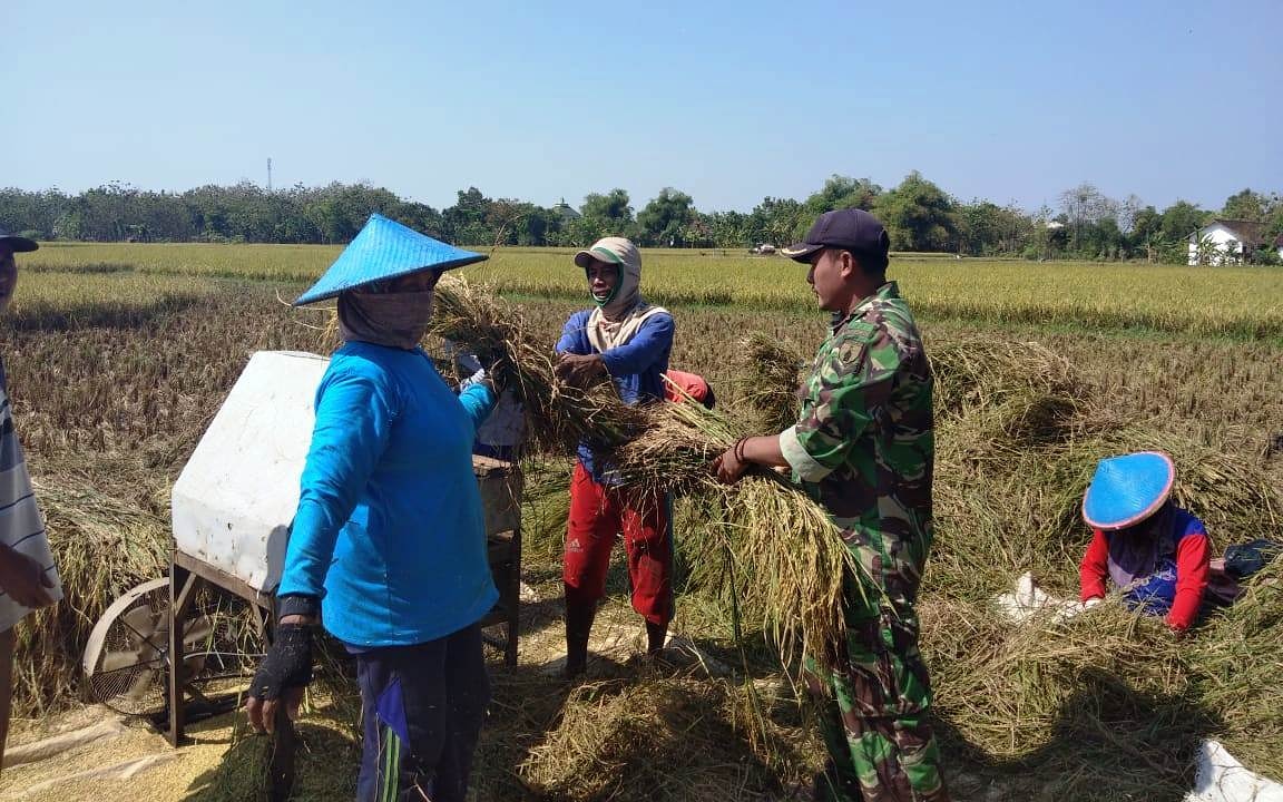 Pendampingan Sertu Yazid Arafat kepada petani binaannya di Desa Mojosari, Kecamatan Kalitidu, Bojonegoro. Senin [25/3/2019]