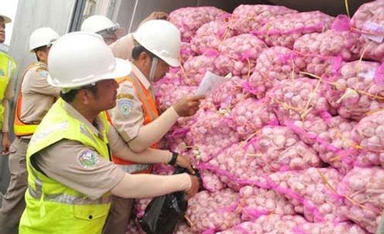 Ilustrasi pengecekan bawang putih oleh petugas. (Foto:gresik.co)