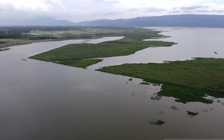  Foto udara kondisi Danau Limboto yang sebagian permukaannya tertutup tanaman eceng gondok di Kabupaten Gorontalo, Gorontalo, Rabu 27 Maret 2019. Danau Limboto ditetapkan menjadi salah satu dari 15 danau kritis di Indonesia yang menjadi prioritas nasional untuk ditangani secara terpadu oleh pemerintah pusat dan daerah. (Foto: Antara/Adiwinata Solihin)