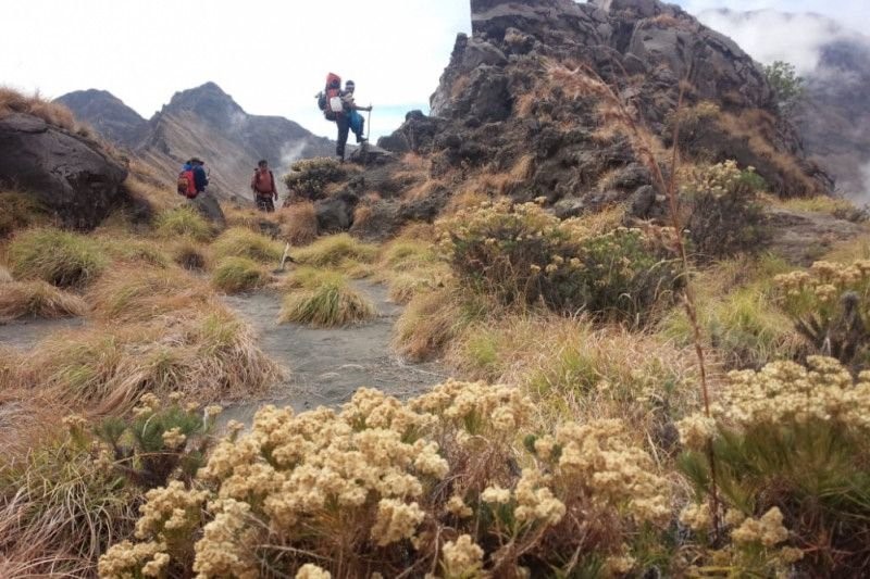 Pendaki Gunung Rinjani, Lombok. (Foto: dok/antara)