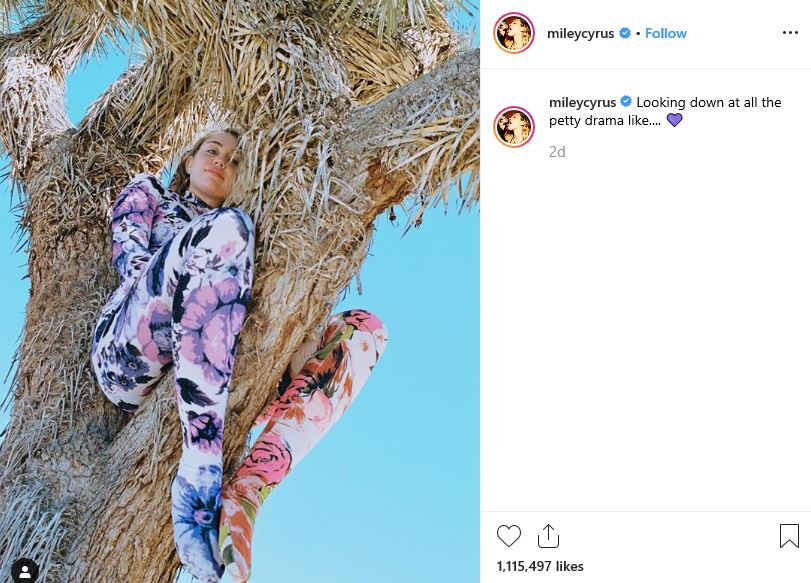 Miley Cyrus duduk di pohon Joshua yang masuk dalam daftar pohon langka.