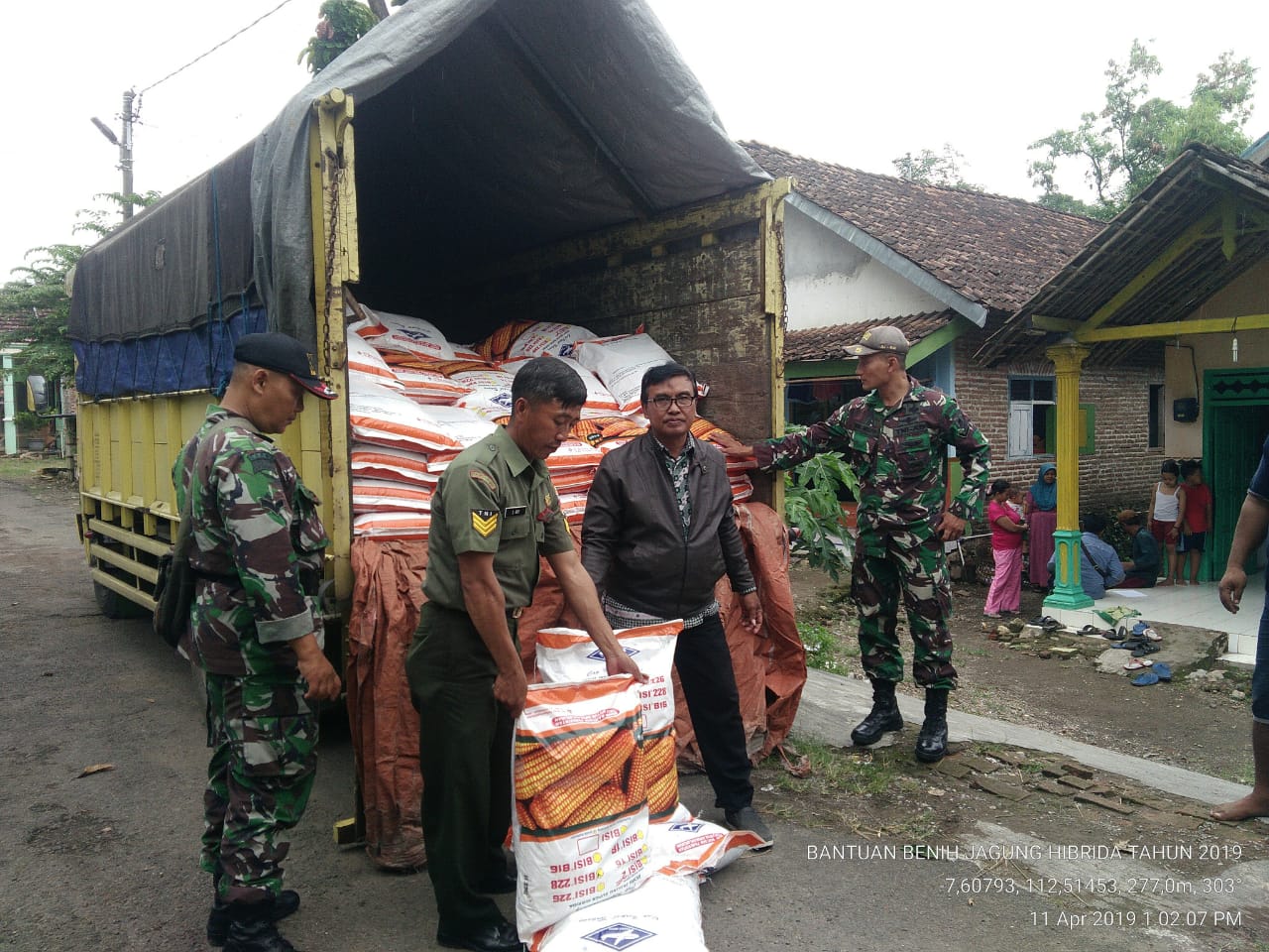 Babinsa Koramil 0815/18 Gondang Bersama PPL Saat Kawal Distribusi Benih Jagung 