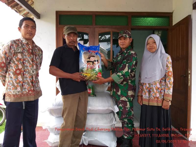 Bersama Koordinator PPL dari BPP Trawas Babinsa Koramil 0815/17 Distribusikan Benih Padi Ciherang