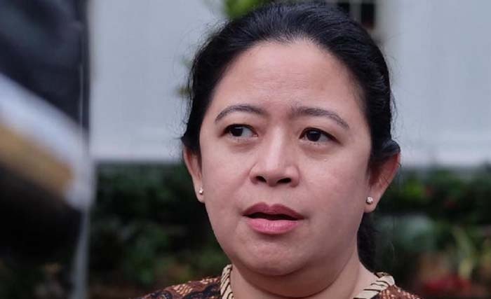 Menteri Koordinator Bidang Pembangunan Manusia dan Kebudayaan Puan Maharani . (Foto:Dok.Antara)