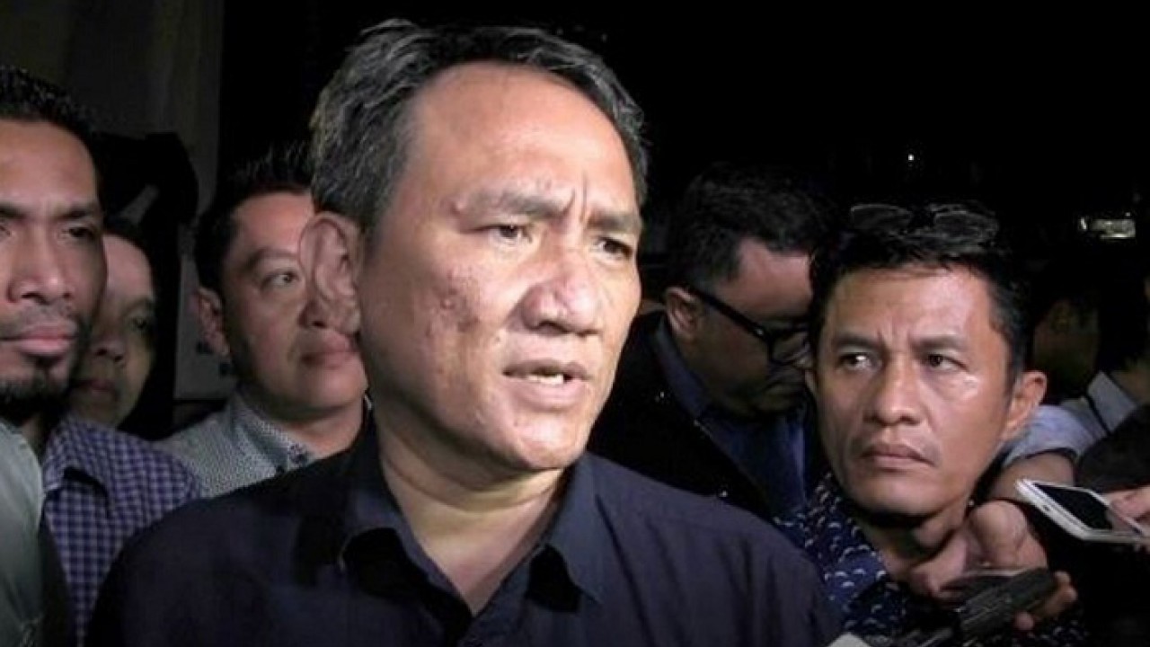 Wasekjen Demokrat Andi Arief. (Foto: dok/antara)