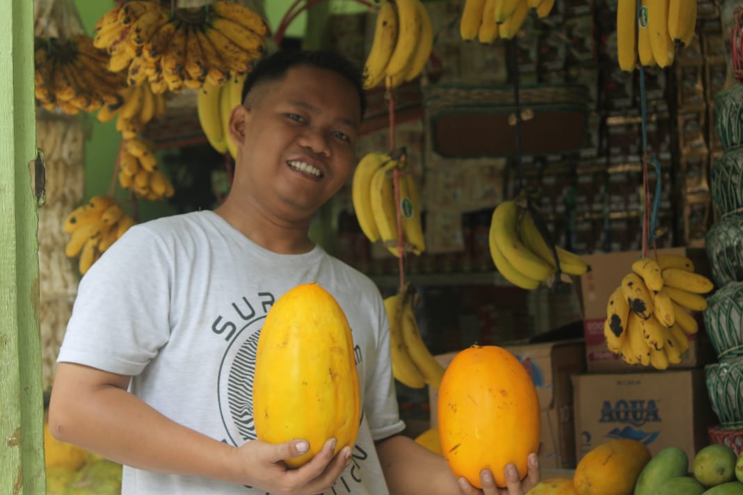 Ono Taryono pedagang timun suri  asal Kuningan Jawa Barat menunjukkan timun suri dagangannya (Foto: Asmanu/ngopibareng.id)