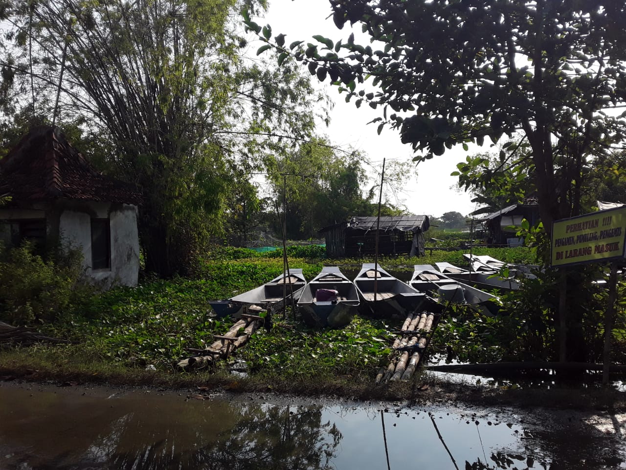 Desa Glumo, Kalitengah Lamongan. (Foto: kiki/ngopibareng.id)