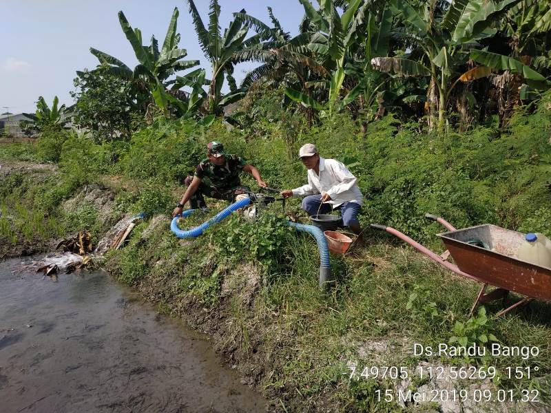 Babinsa Koramil 0815/09 Mojosari Bantu Petani Pengairan Lahan Sawah (Pendim 0815 Mojokerto)