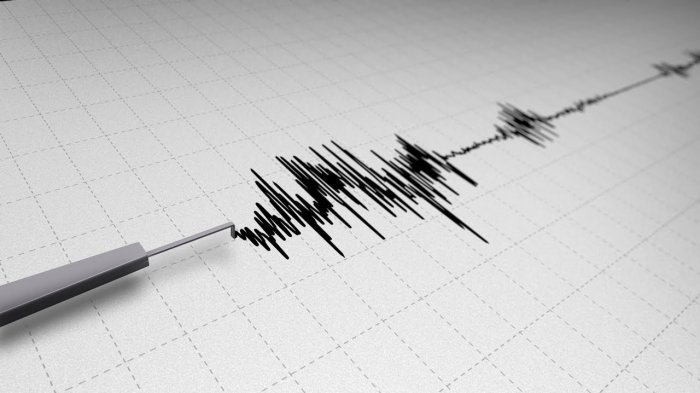 Ilustrasi. Gempa di Malang