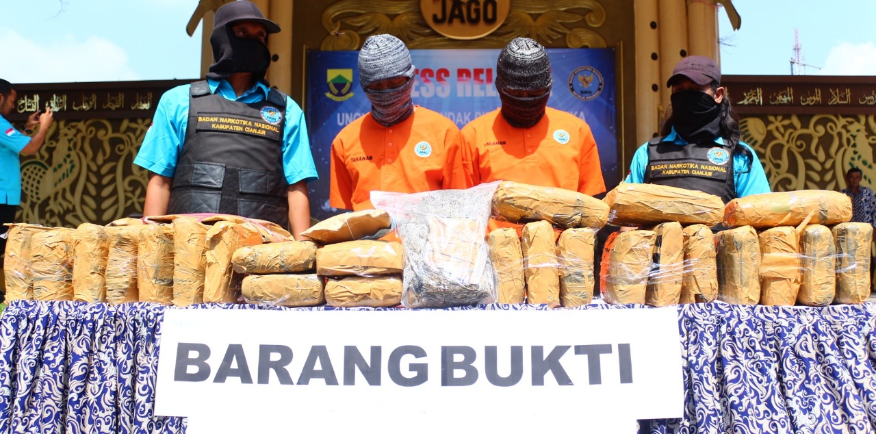 Ilustrasi ganja hasil tangkapan polisi. (Foto: dok/antara)