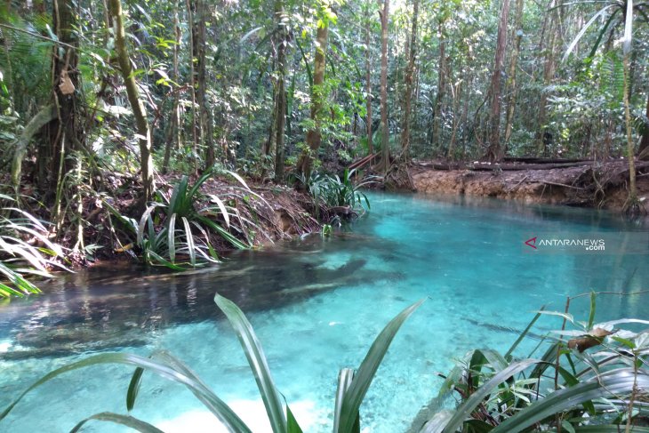 Kali Biru Raja Ampat. (Foto: dok/antara)