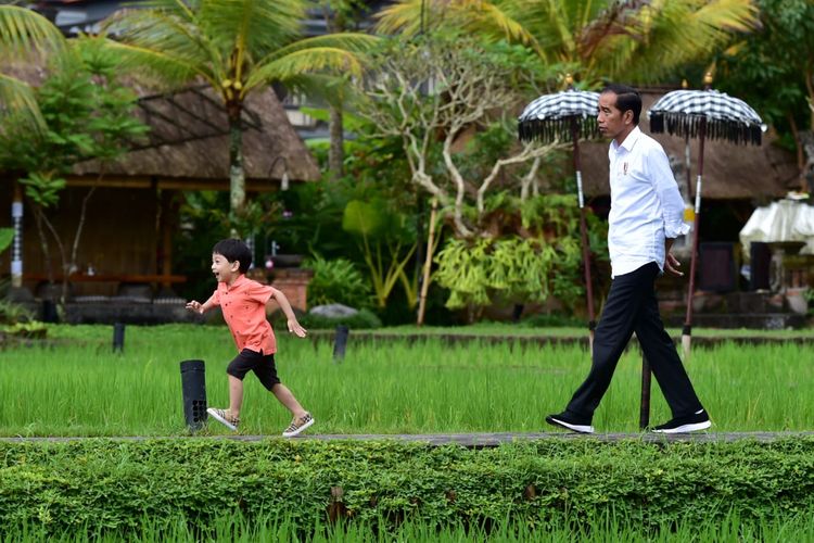 Presiden Jokowi momong cucu, Jan Ethes, main di area sawah di sebuah restoran di Ubud, Jumat 14 Juni 2019. (Foto: dok. BPMI)