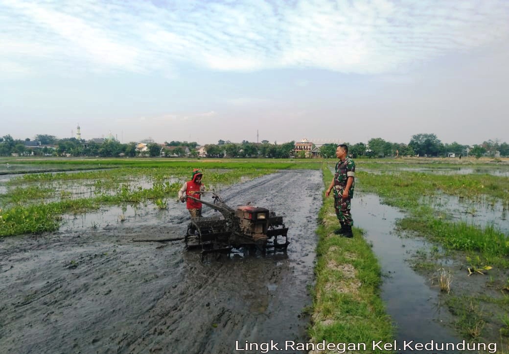 Serma Heru Susilo Dampingi Petani Bajak Sawah